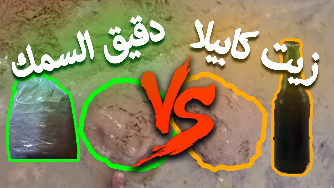 البيلوطة البلدية تتحدى دقيق السمك