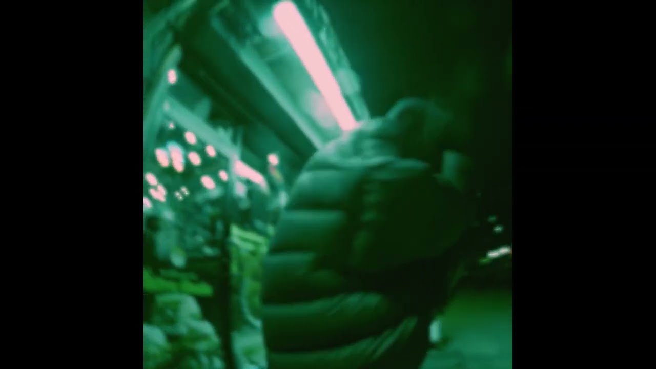 (FREE) ICYTWAT TYPE BEAT x LUCKI TYPE BEAT - METAL GEAR