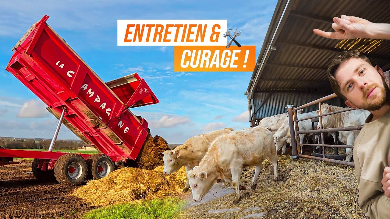 ON BICHONNE LES VACHES ET LE MAT&Eacute;RIEL !