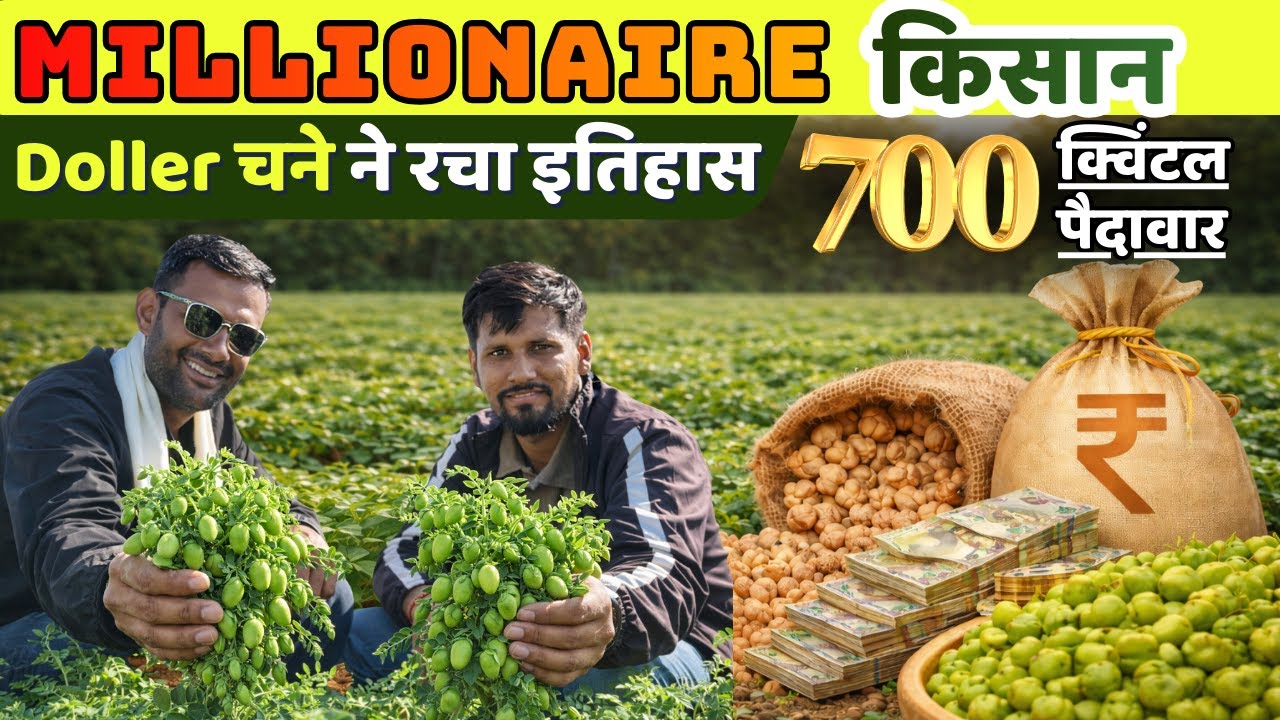 Millionaire किसान Success story | डॉलर चने से 1 फसल में 700 क्विंटल | Dollar Chana ki kheti
