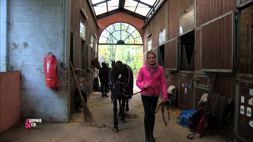 Pour que votre cheval n'ait plus peur du froid !