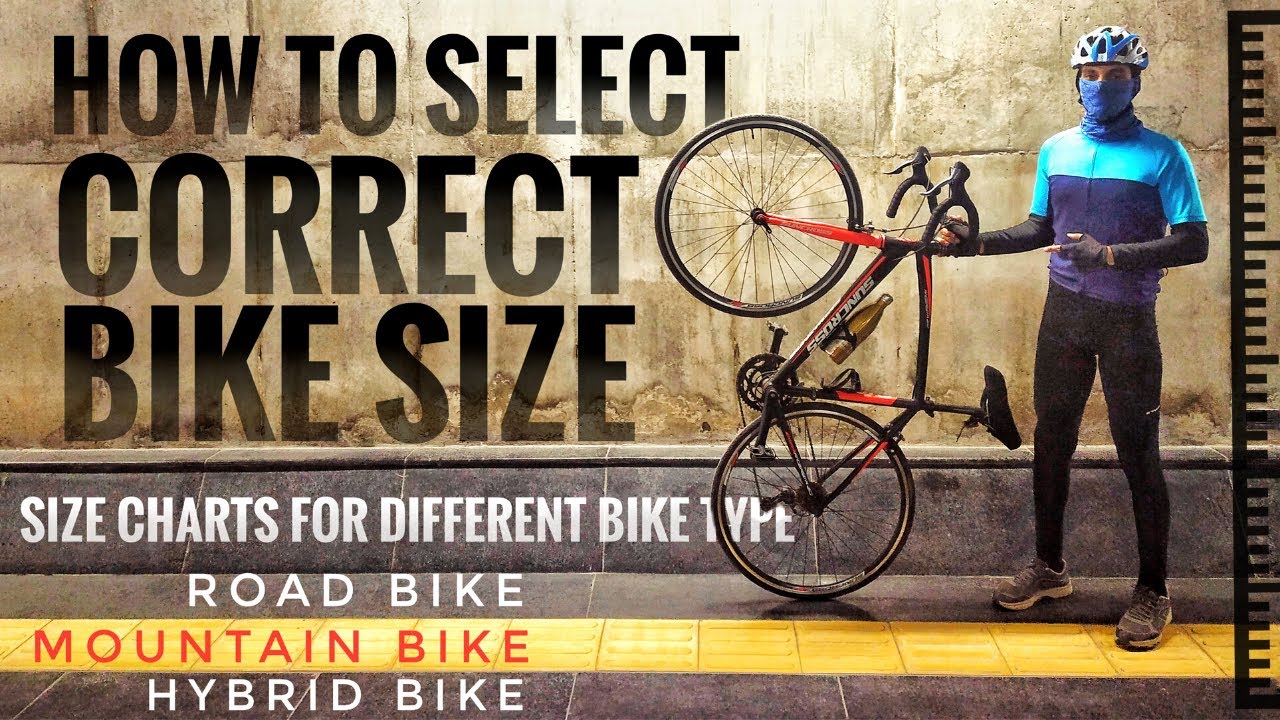 How To Select Correct Bicycle Size | MTB, Hybrid Bikes And Road Bikes 🚲