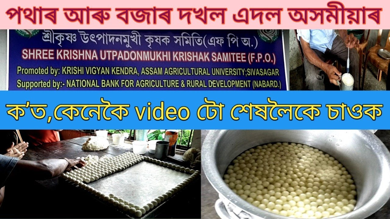 পথাৰ আৰু বজাৰ দখল এদল অসমীয়াৰ#motivational#dairyfarm#agricultura#Assames#hbgohain