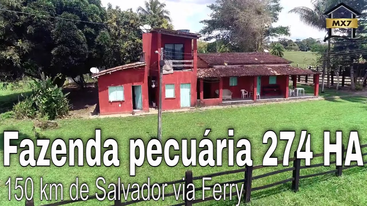 FAZENDA pecuária 274 Hectares, 1km de Rio / 150 km de Salvador BA
