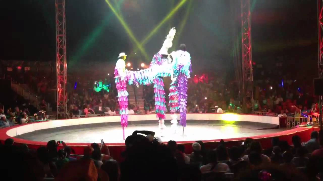 Caribbean Dancers at the UniverSOUL circus