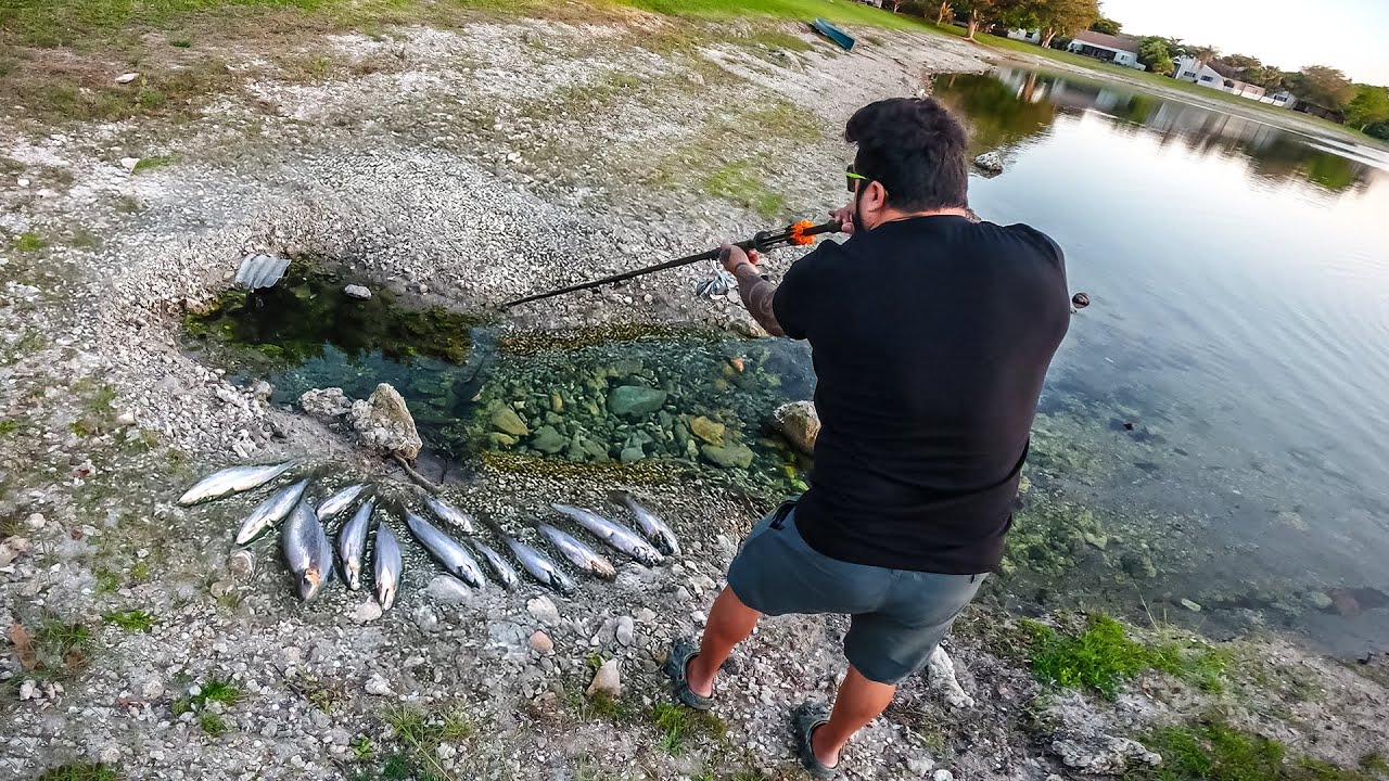 Eu vi só a CABEÇA do PEIXE e Disparei com Zarabatana