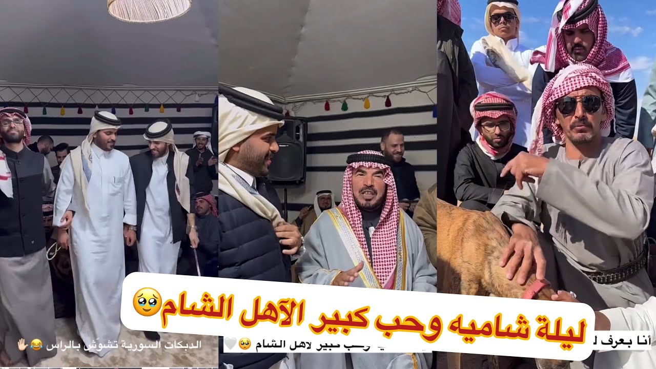 😂😂تهاوشوا ابو النصر مخلد ابو تميم ابوي 😂#سنابات #غازي_الذيابي