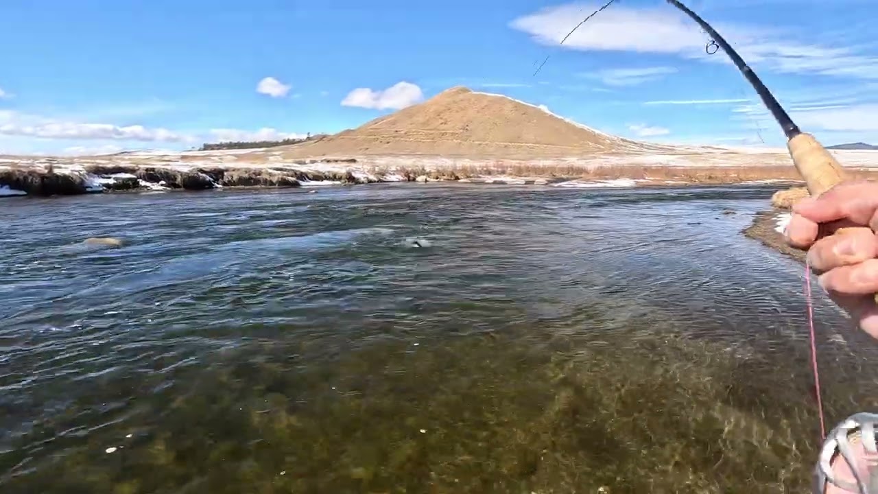 Dream State of Fly Fishing - Colorado