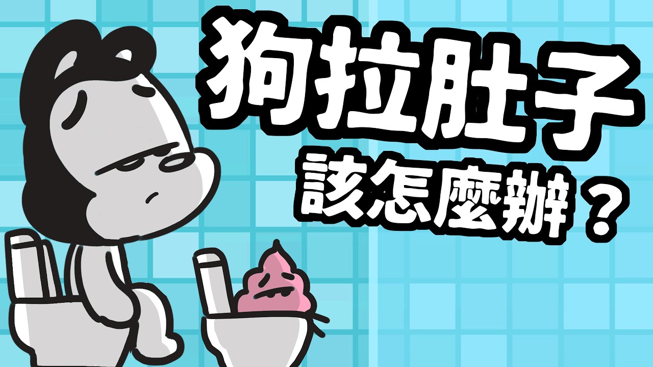 狗與鹿｜狗狗拉肚子該怎麼辦？｜6種隨手可得的食材與補品，幫狗狗養好腸胃，健康長壽