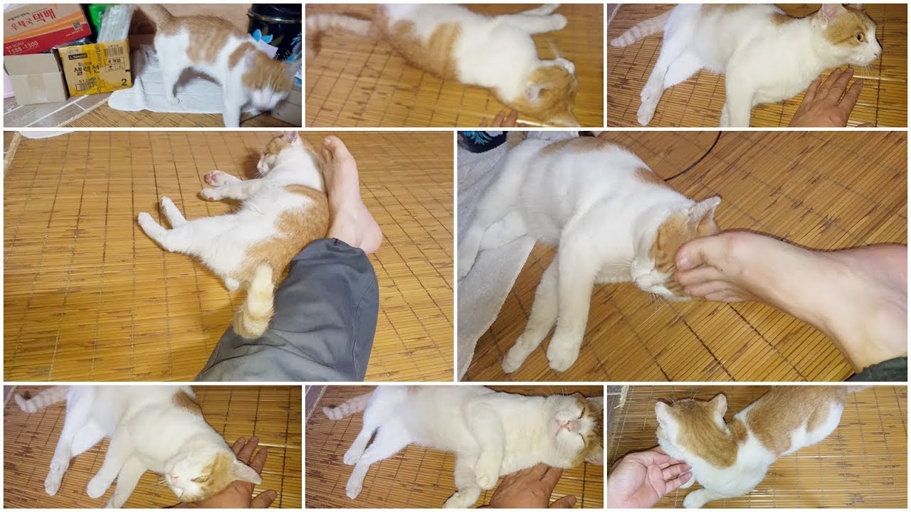 문디 저거 또 들어오네