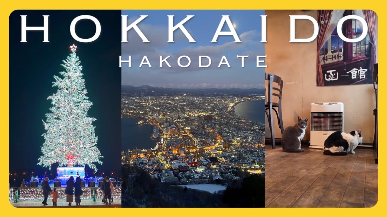 【北海道vlog】クリスマス限定のごちそう旅！はこだてクリスマスファンタジー｜ホテル最上階レポ｜CENTURY MARINA HAKODATE｜函館山夜景の攻略方法