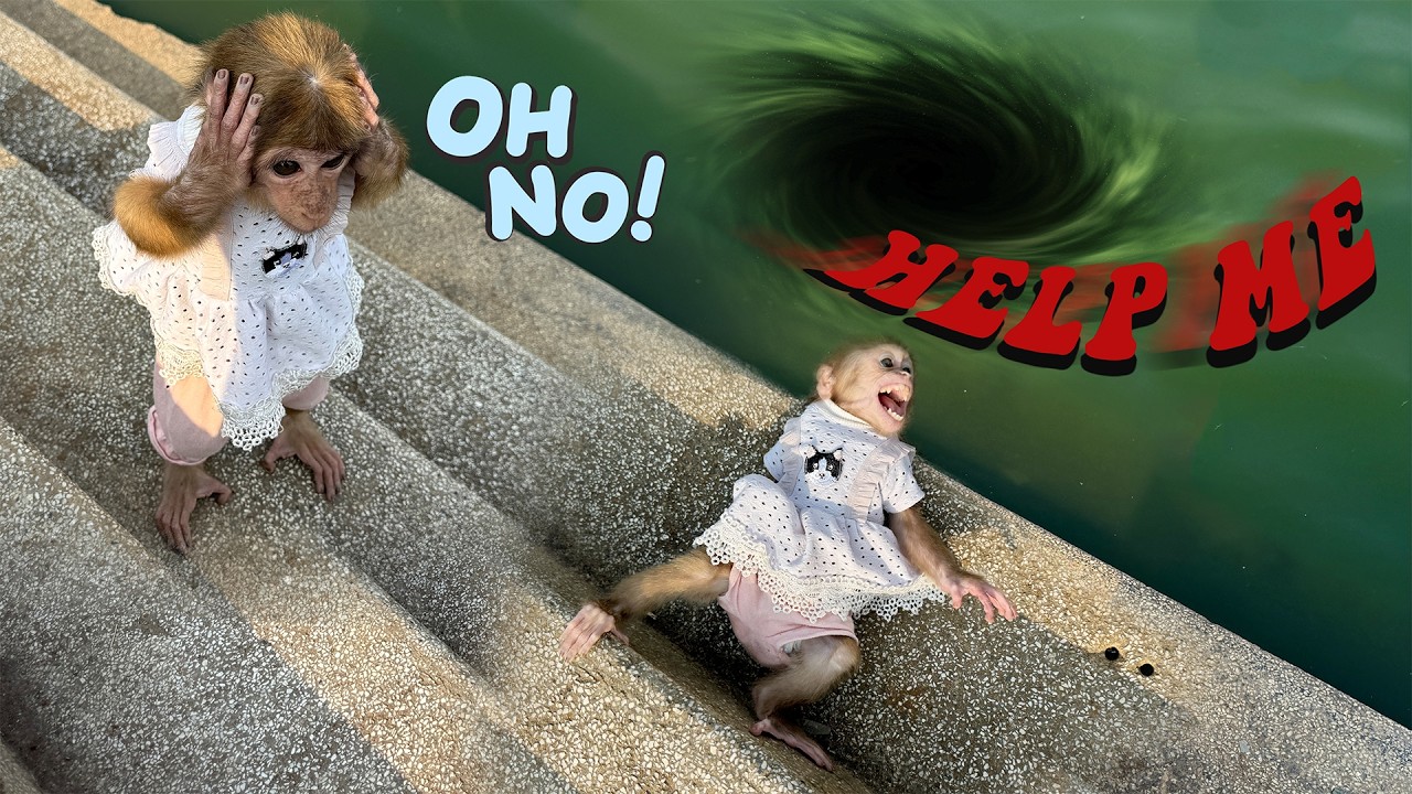 A life or death moment! Sunny is in danger — Lucky risks everything to save her at the last second