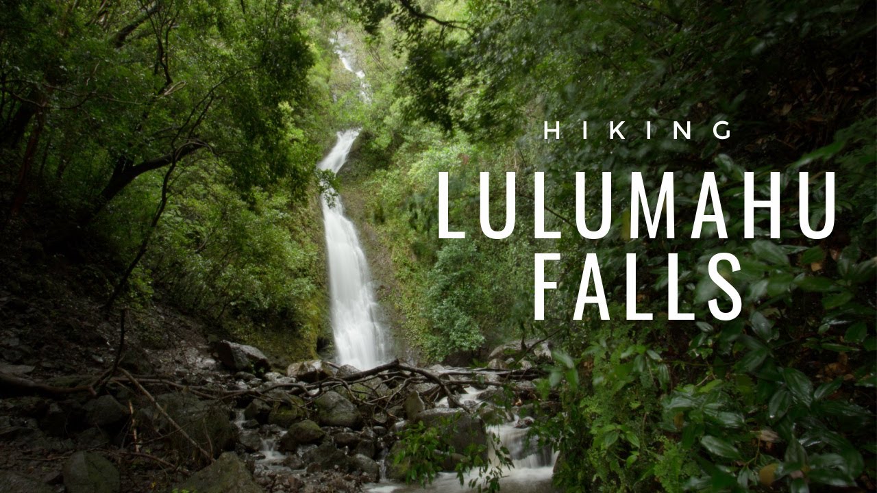 Hiking Lulumahu Falls in Oahu, HI | Info