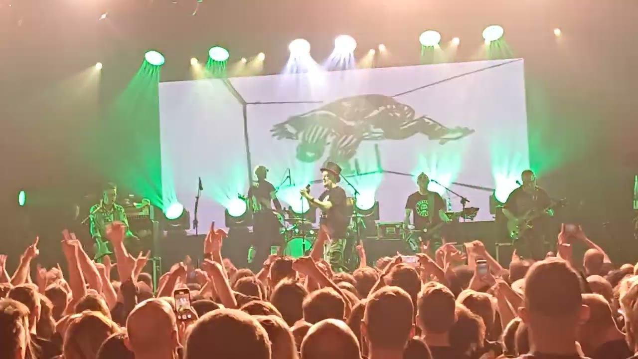 Pidżama Porno - Bal u senatora, Warszawa Palladium 15.03.2025