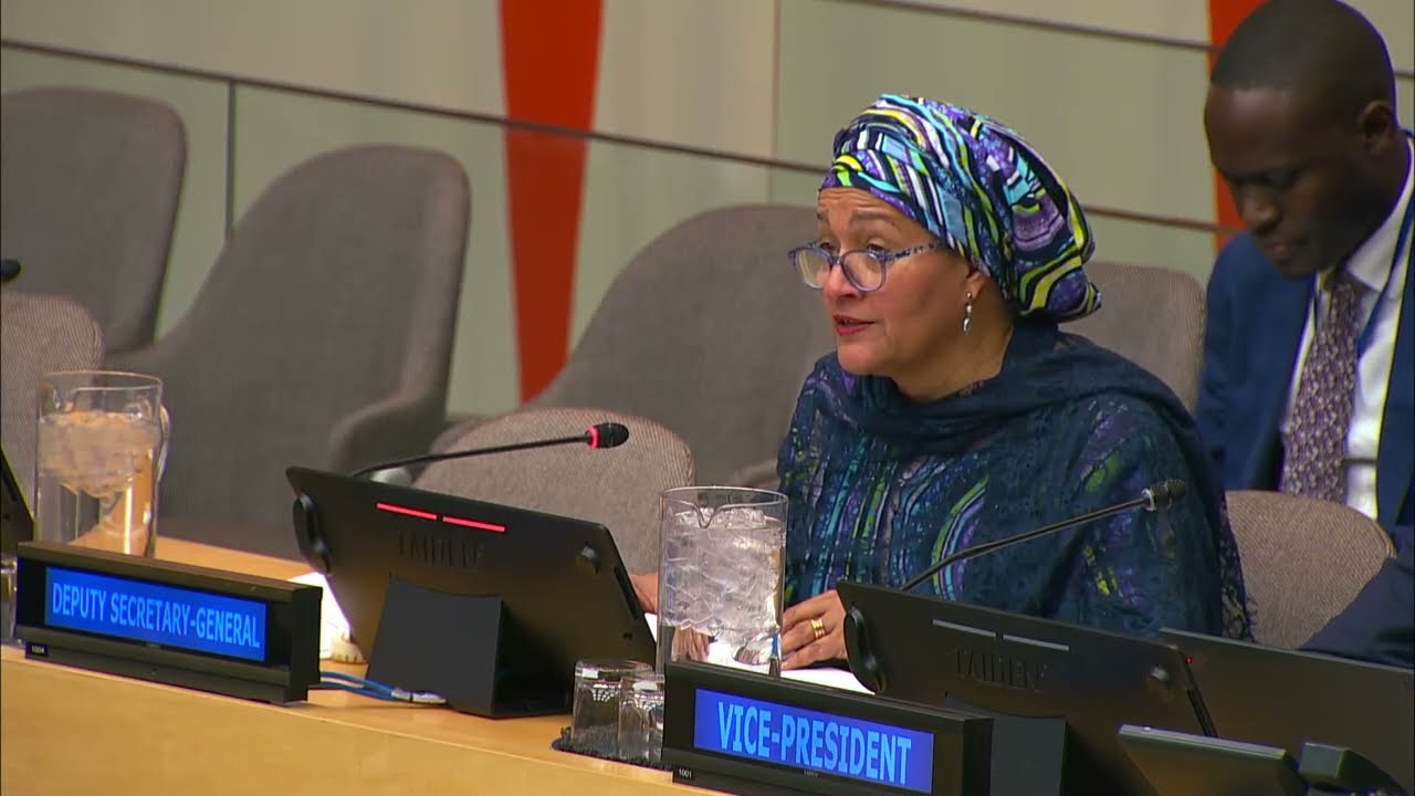 ECOSOC : moteur de progrès pour le développement durable et les droits humains | Nations Unies