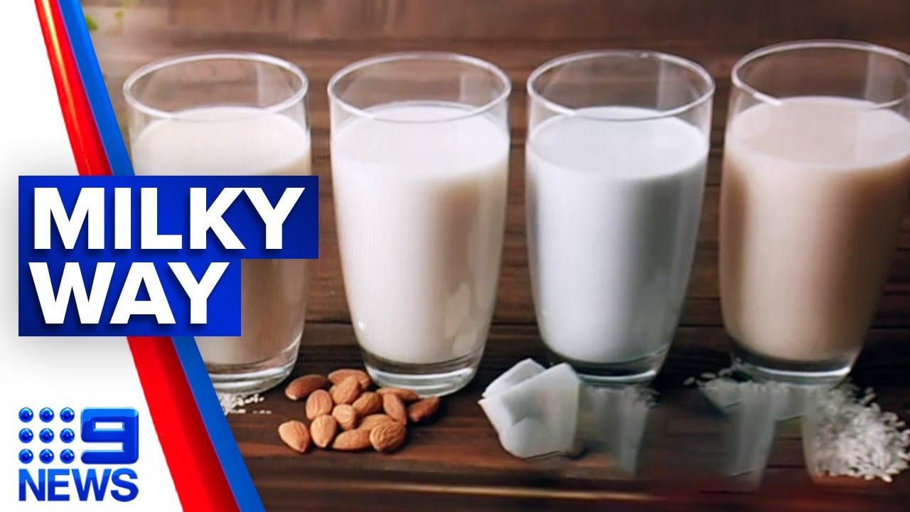 Most nutritional plant-based milks rated | 9 News Australia