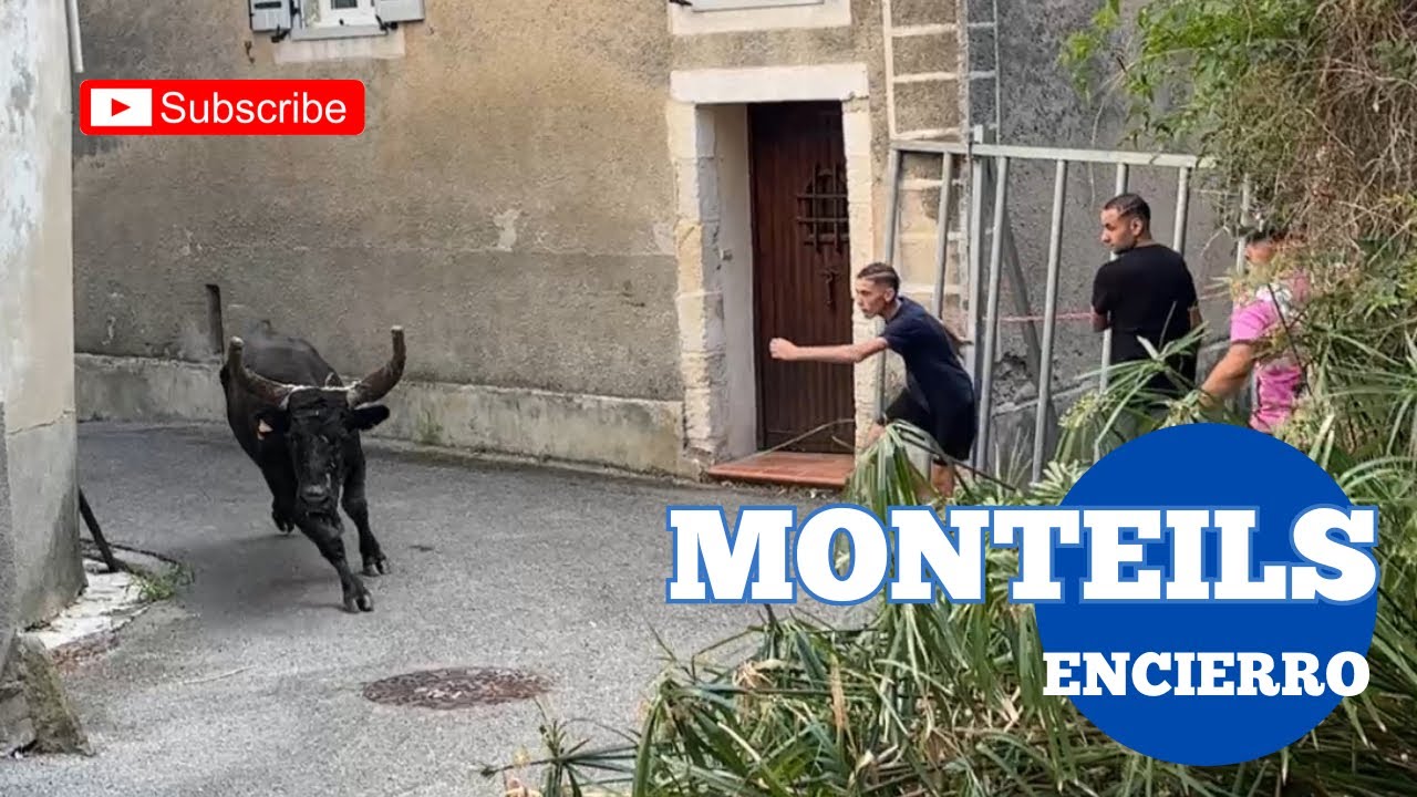 C’est la toute 1ere Encierro  ➡️ Village de Monteils 🇫🇷 Taureaux de la Manade CONTI 👏🏼 19/07/2025 ￼