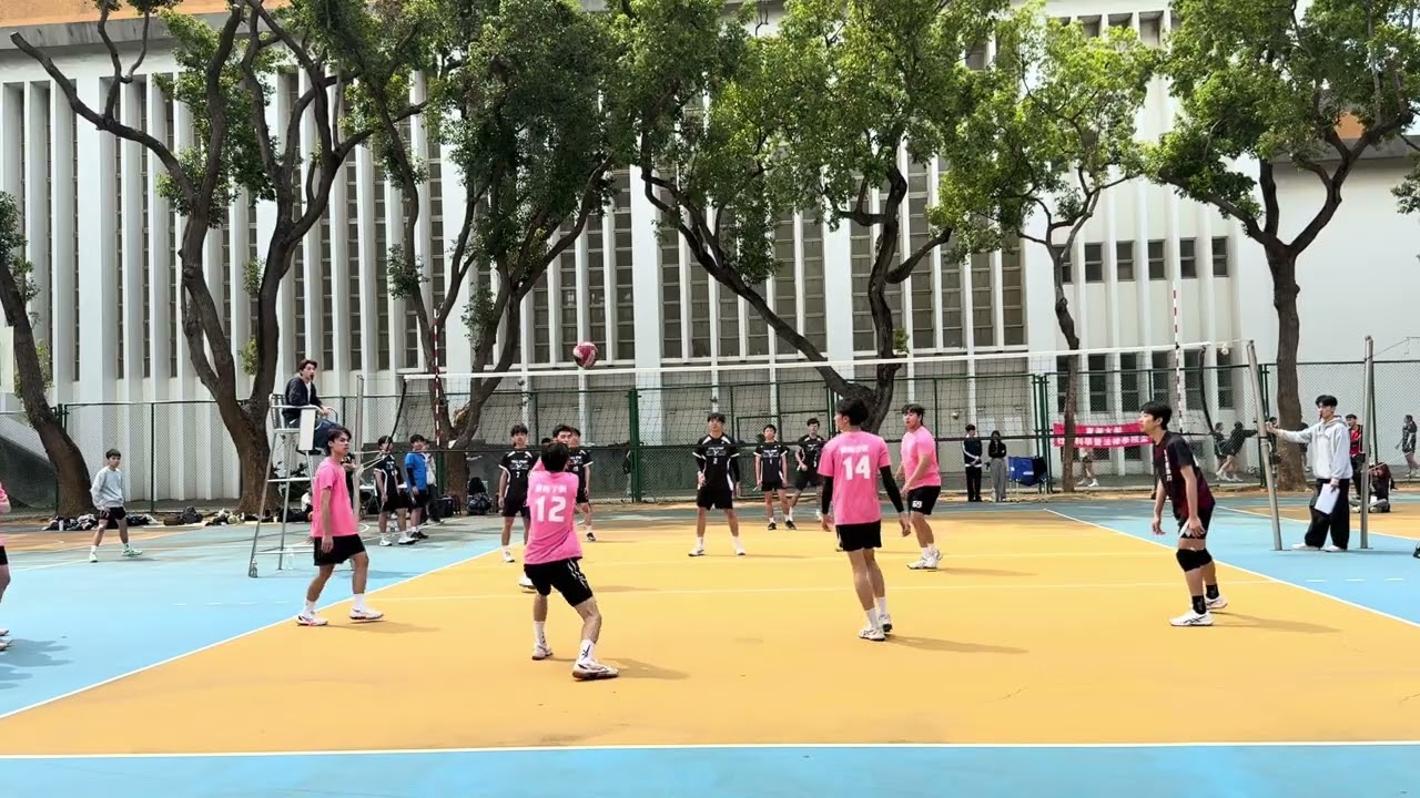 115/03/15 社科法盃 經濟男排v.s.行政男排（中）