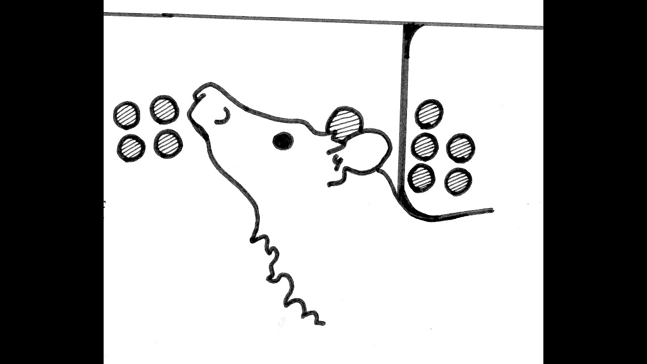 Noam Chomsky Visualization on the Limits of Knowledge in Science: abridged version
