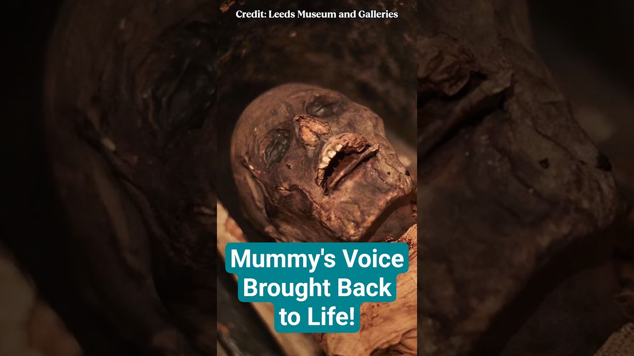 Bringing a Mummy's Voice Back to Life! #history #ancientegypt #mummies #museumcollections #historian