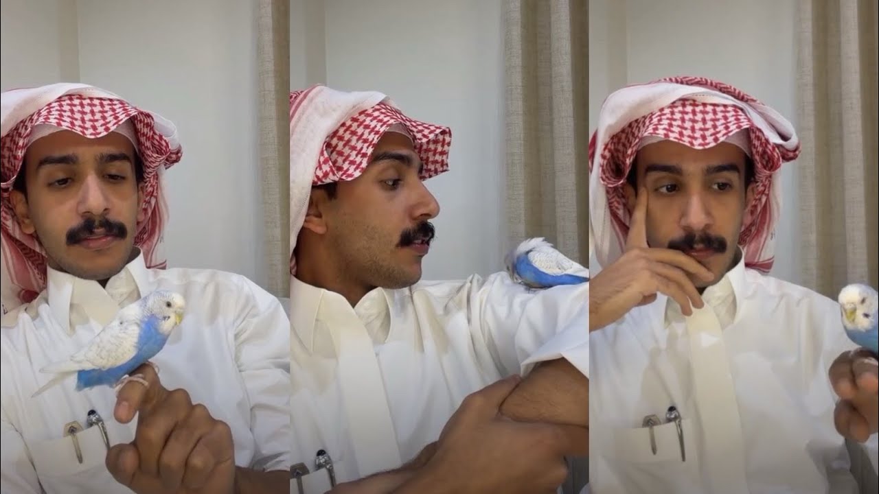 بث علي عواض | 13 مارس 