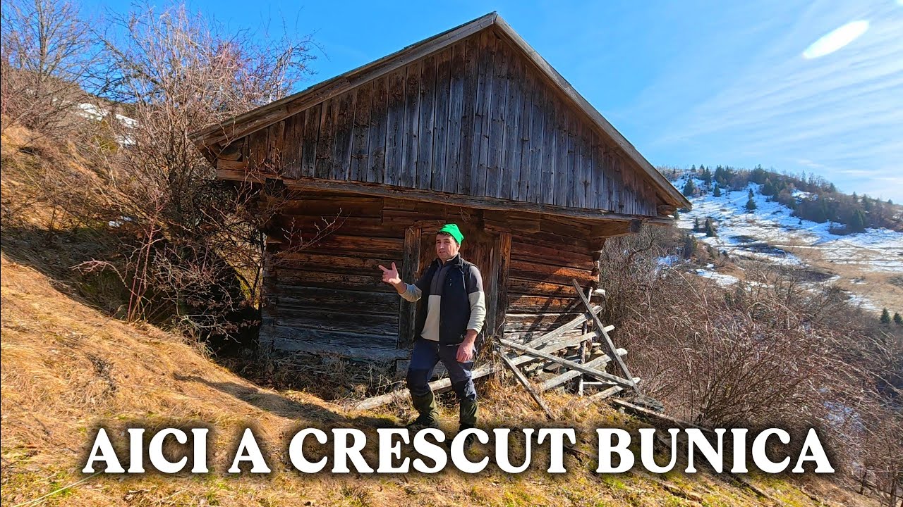 AICI A CRESCUT BUNICA… 🏚 VECHILE ȘURI DIN APUSENI | EP.95