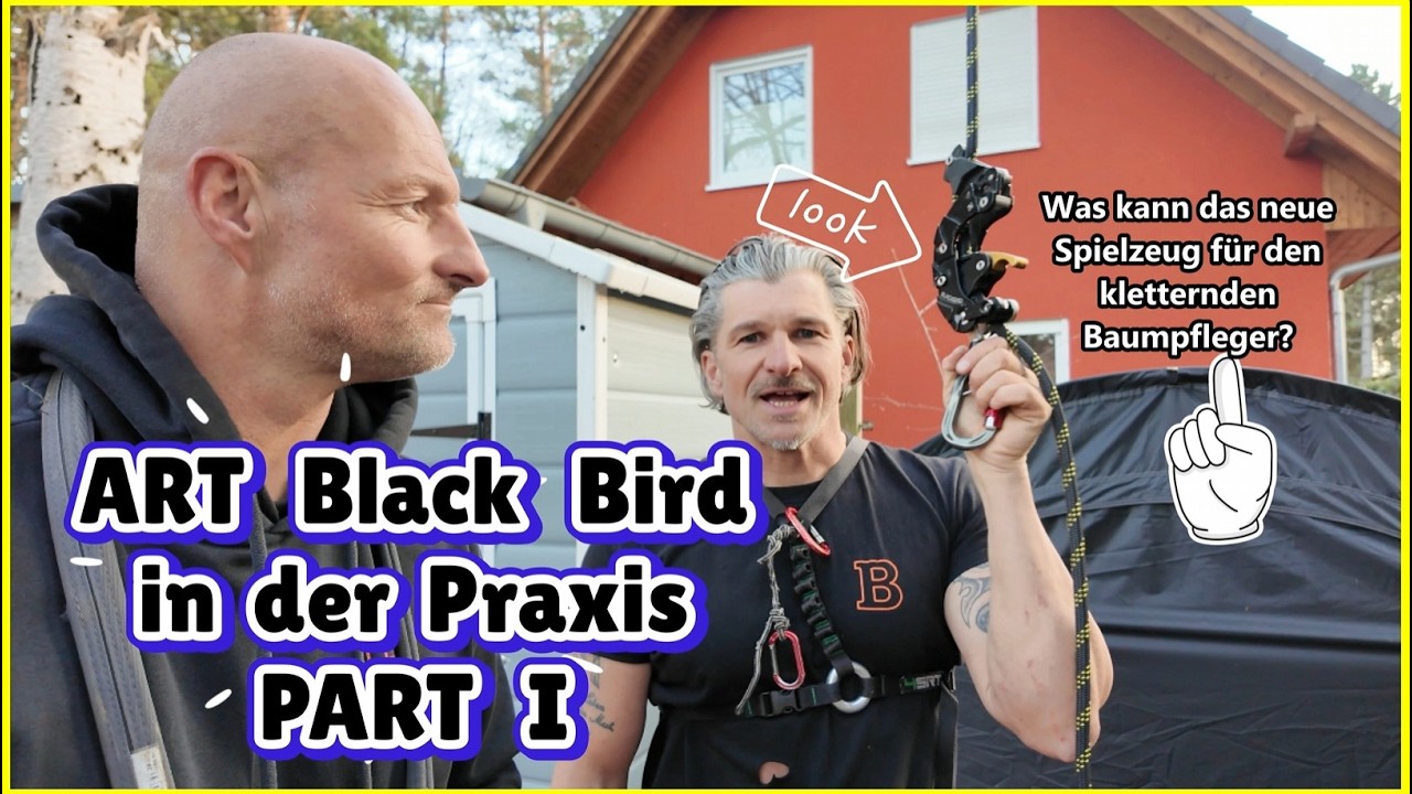 ART Black Bird Part I - Das Praxisvideo 🪵 Bades Baumdienst 🌳