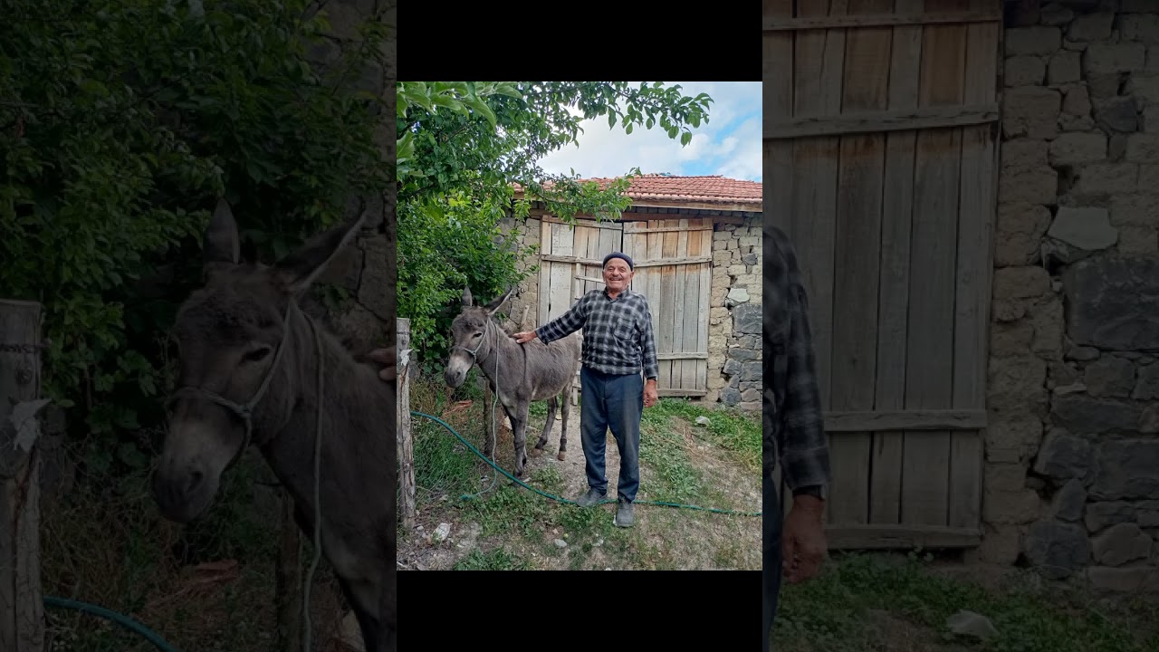 Yozgat Akdağmadeni Tarhana köyü öğretenler