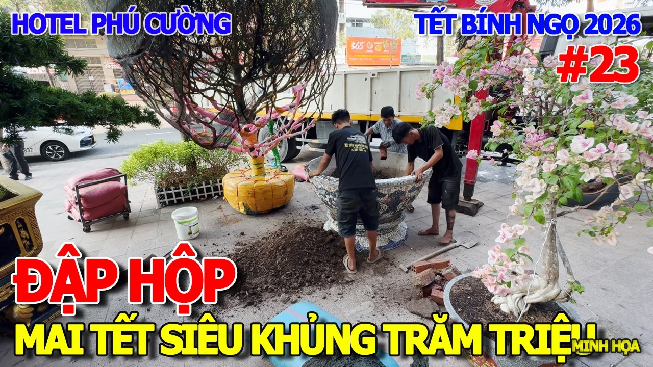 HỒI HỘP GIÂY PHÚT 