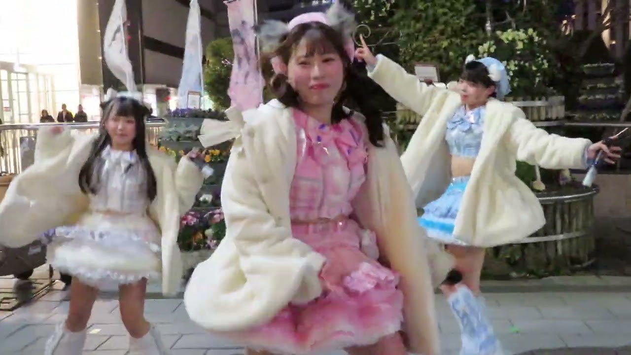 2026/2/18（水）夜の魔法ライブ　モラトリアリズム（しゃるぷり 水夢あーす）