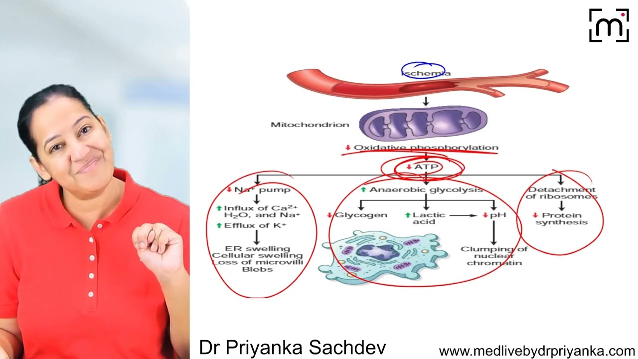 Pathology 2