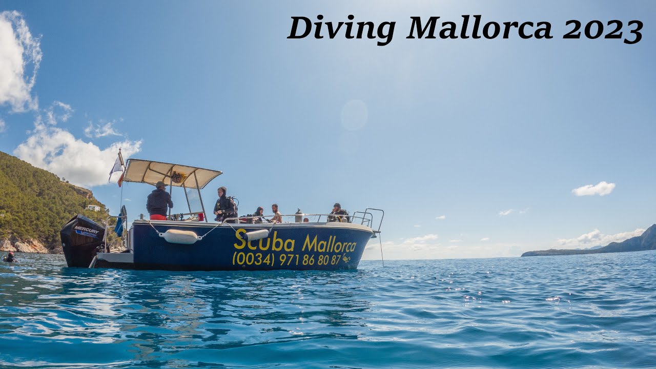 Tauch auf Mallorca, Scuba Diving, Port de Pollenca, Alcudia