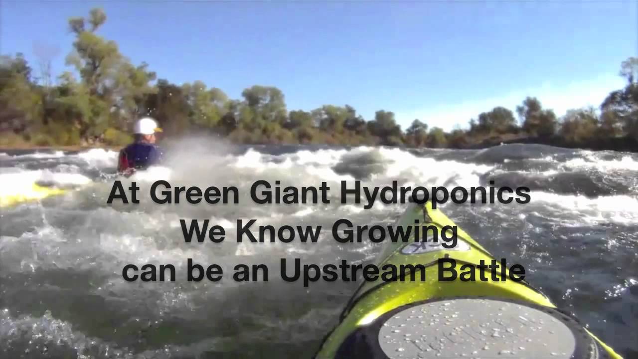 Green Giant Hydroponics: General Organics