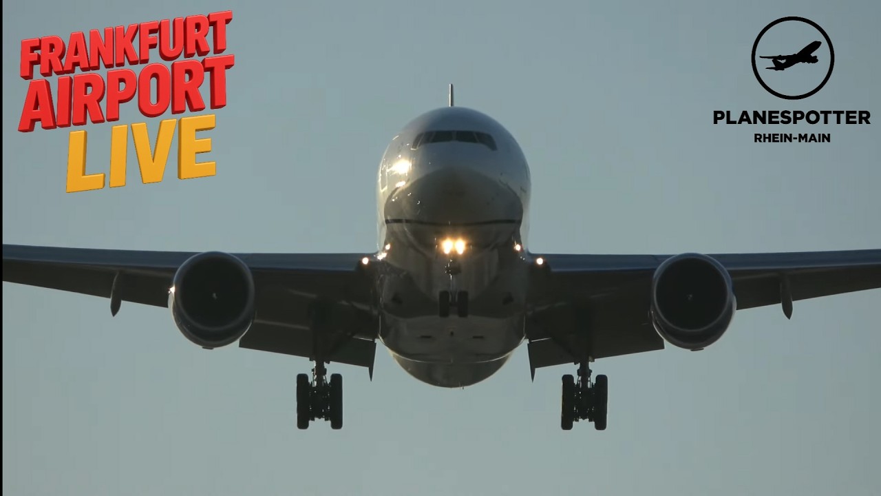 LIVE🔴 Frankfurt Airport | Dual Cam | Close-Up Landings Runway 07L | SO 08.03