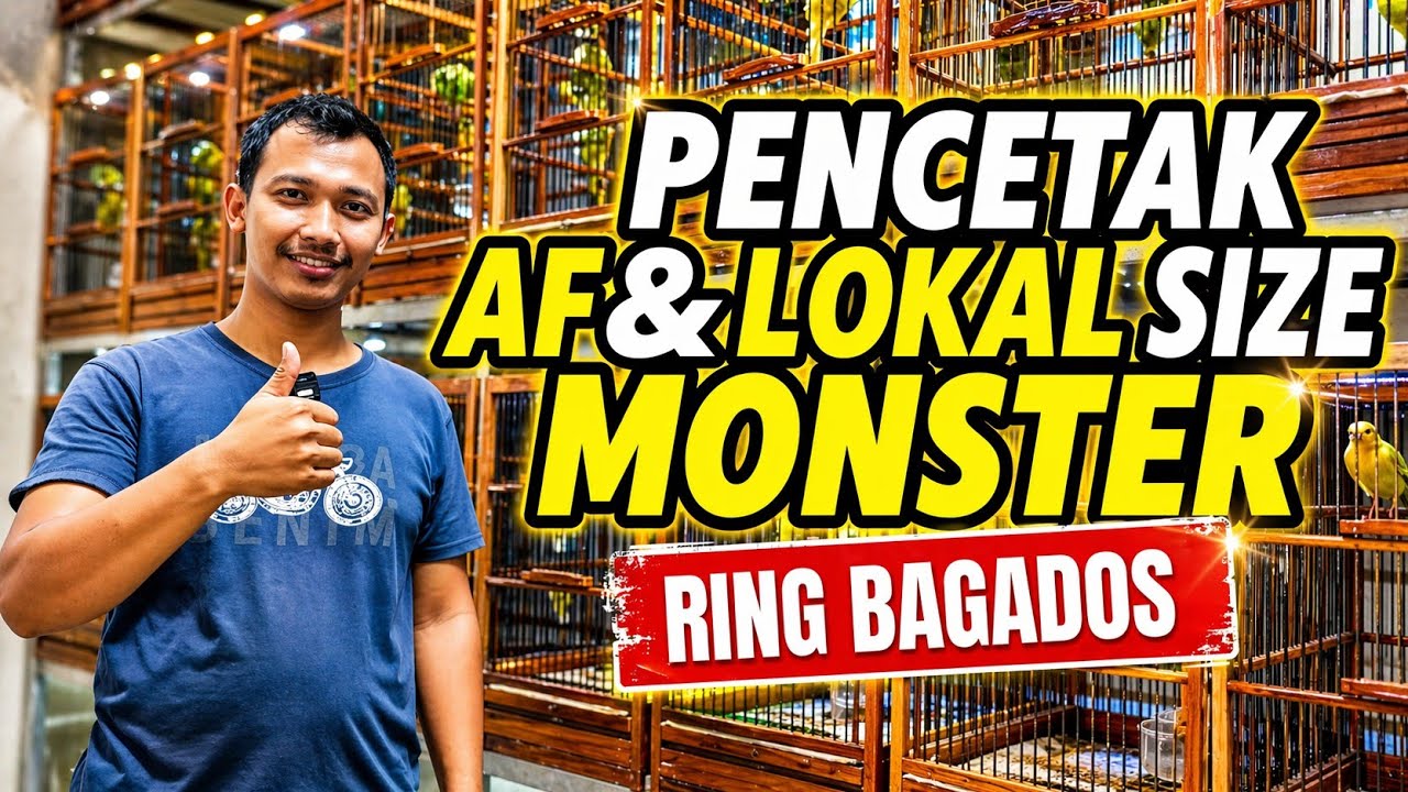 PETERNAK KENARI‼️Pencetak PAUD KENARI size MONSTER...