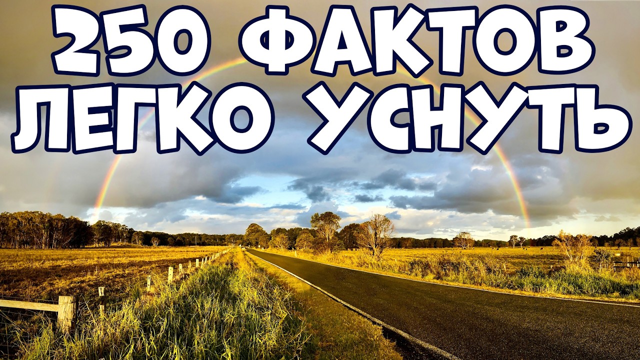 250 ЛУЧШИХ ФАКТОВ, ПОД КОТОРЫЕ ЛЕГКО УСНУТЬ
