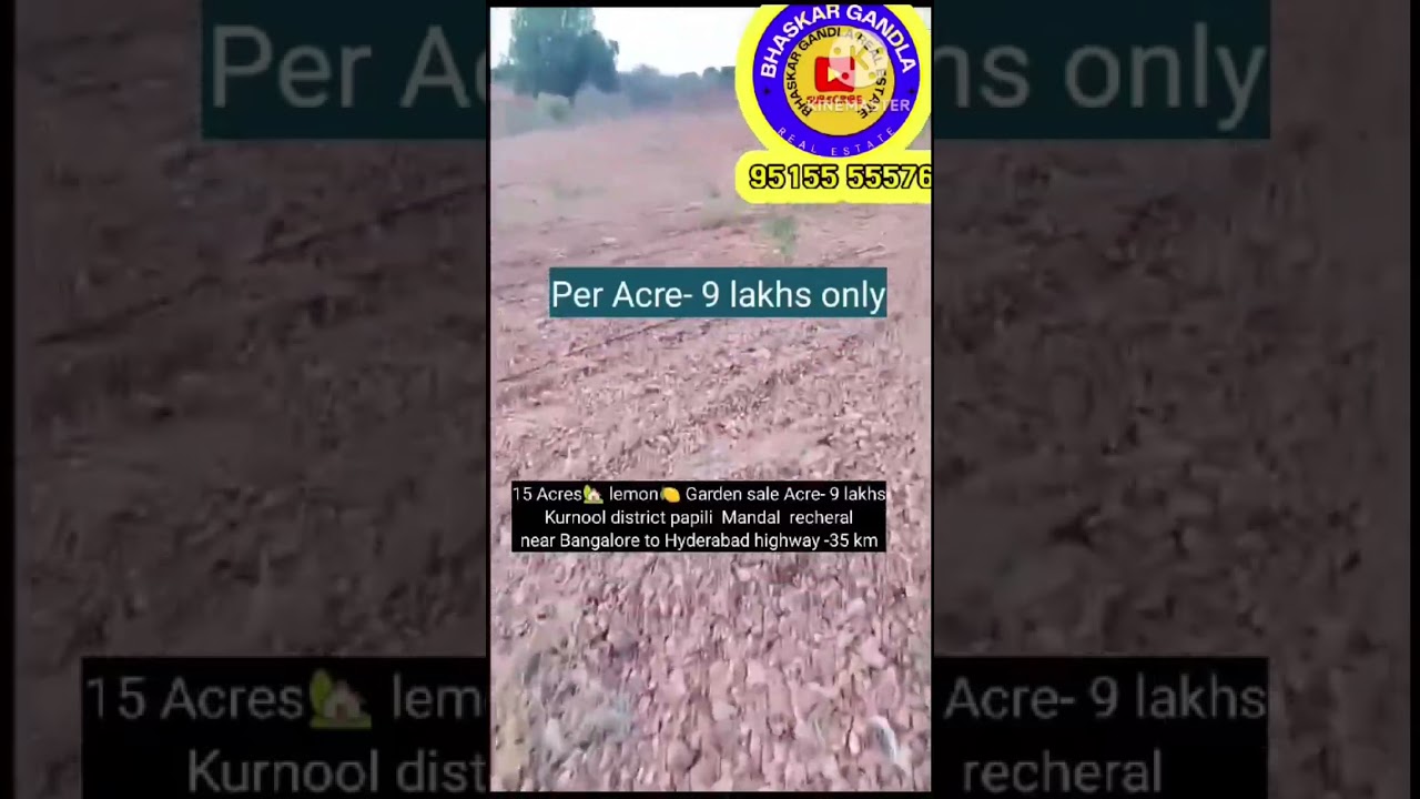Gardens for sale Kurnool #cheapproperties #agriculture  #100acre #farmlandforsale #bhaskarrealestate