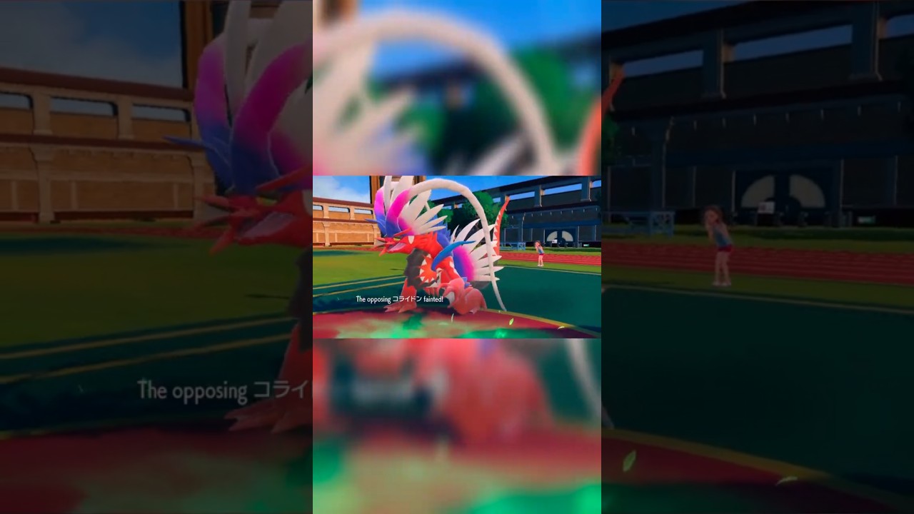 👌best koraidon counter in VGC | Pokemon VGC |
