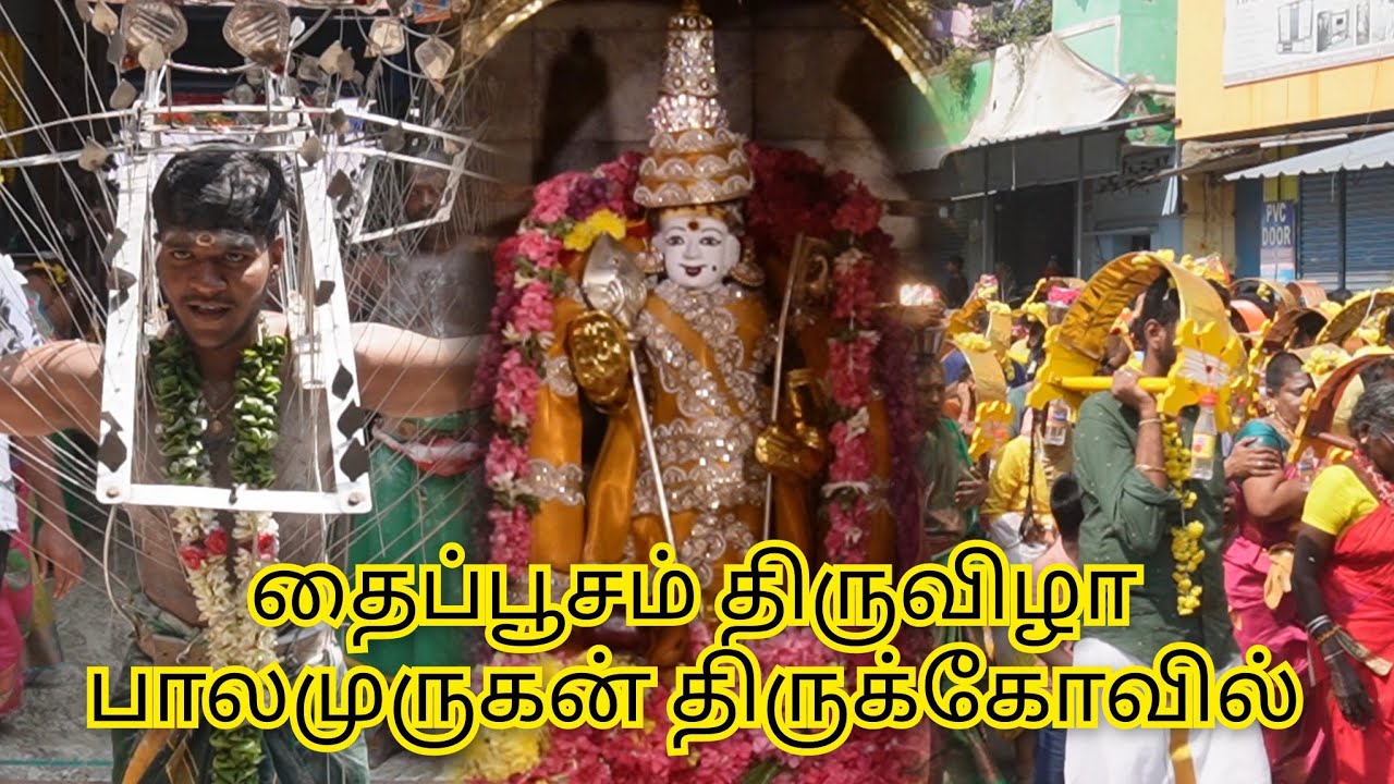 தைப்பூசம் திருவிழா  பாலமுருகன் திருக்கோவில் || balamurugan Temple Kumaran Nagar  #தைப்பூசம்திருவிழா