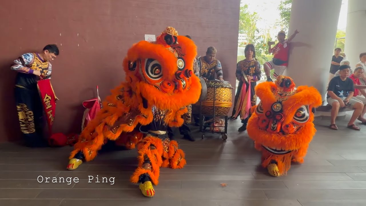 Singapore Xinyang Athletic Association 新加坡新洋体育会 at Hougang Rivercourt