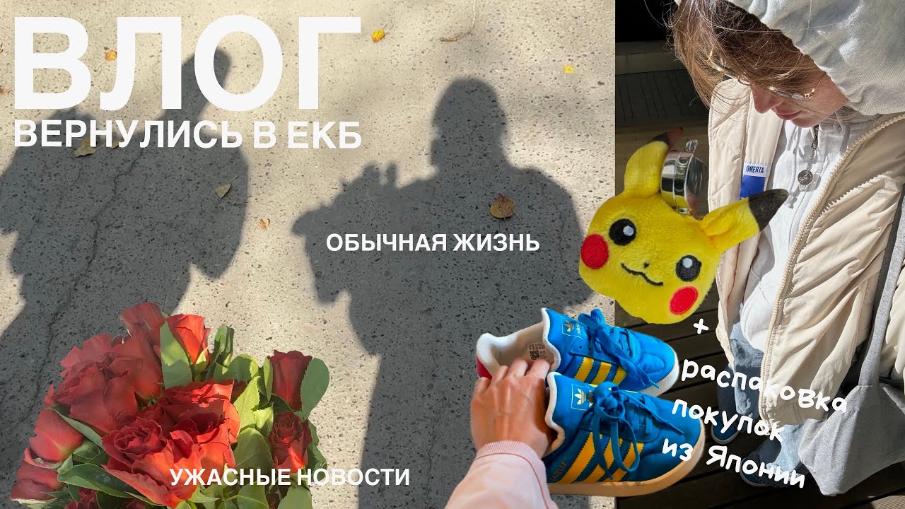 25. Вернулись в Екб: ужасные новости, распаковка покупок из Японии, поездка в деревню и встреча года