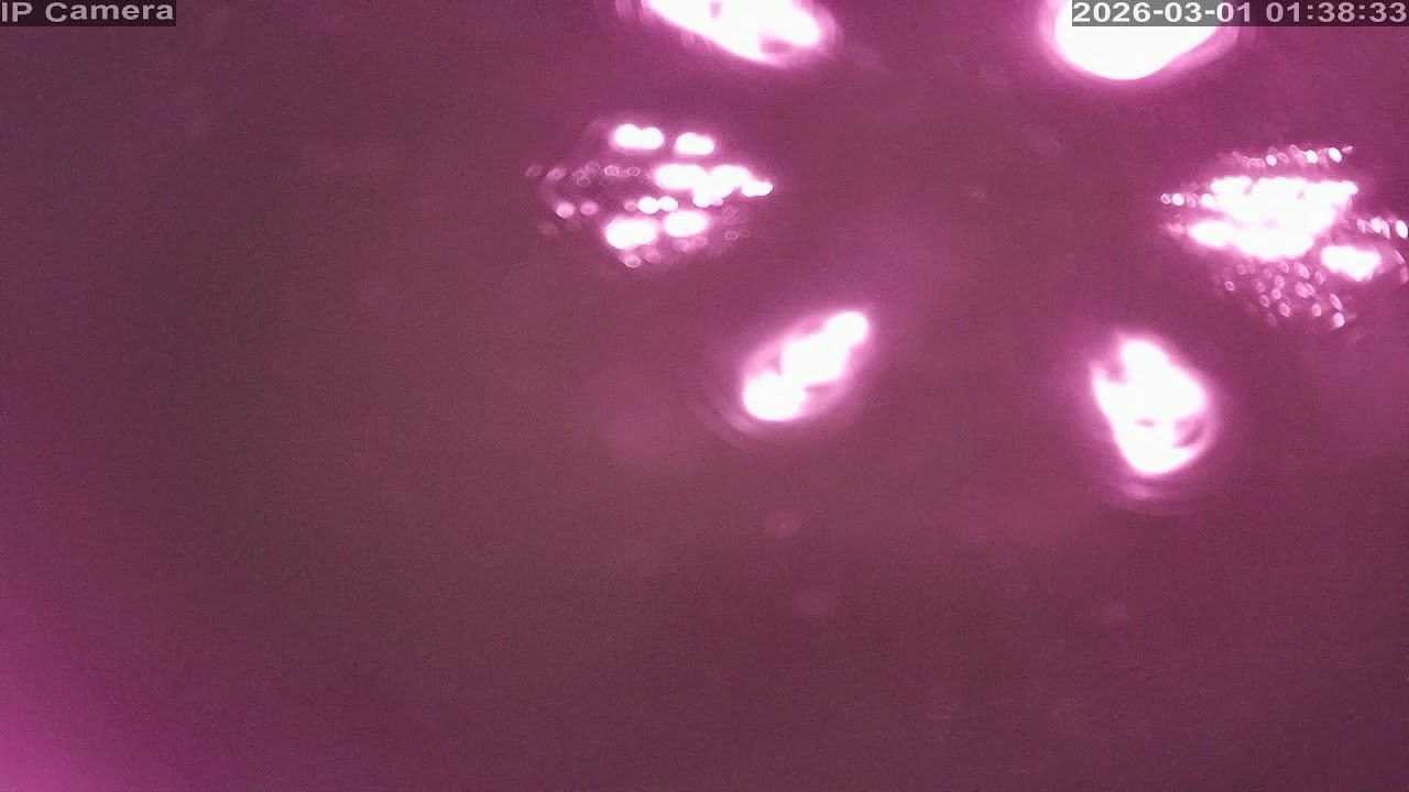 Camera 白馬八方尾根 - 2026-02-28 14:17