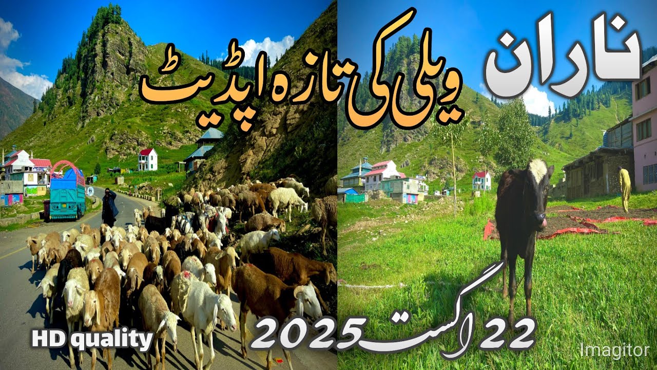Naran Kaghan valley today news latest update | Date 22/8/2025