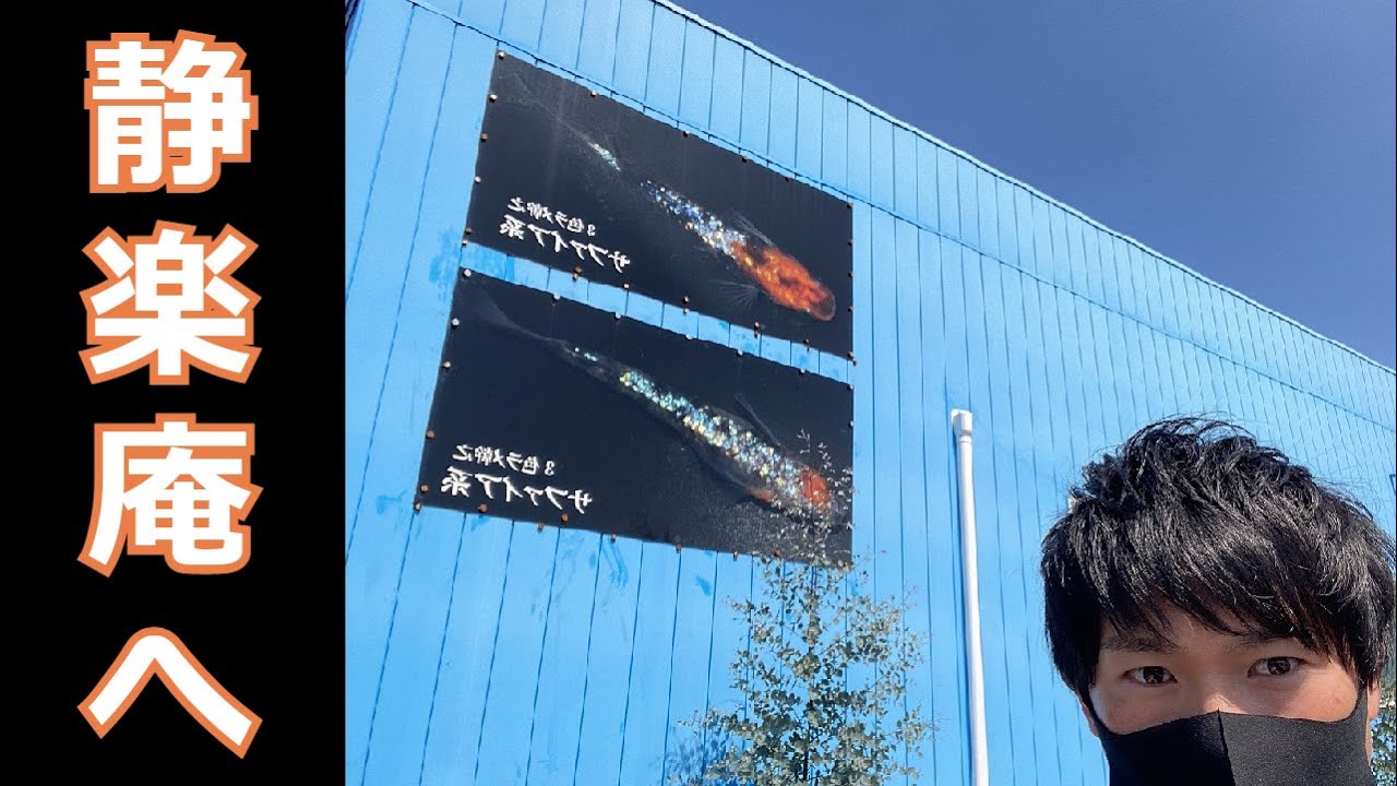 ついに、めだかの聖地【 静楽庵 】へ！！ 次期最新品種もご紹介！