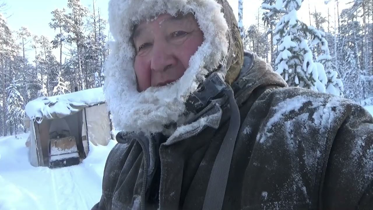 Разговор о лайках, волкособах . f - 53, Проверка капканов.