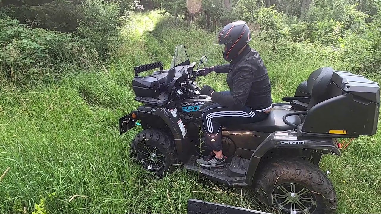 Upsss… wir haben uns im Wald verfahren.