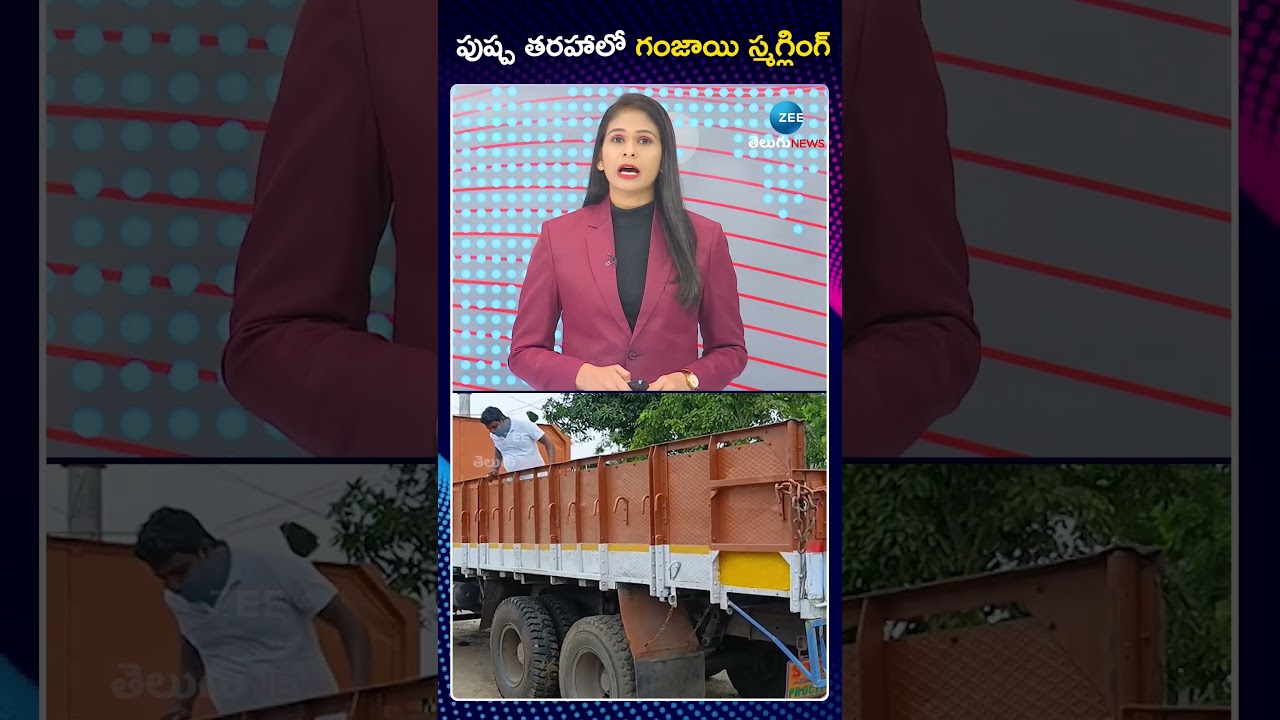 Ganja Smuggling Like the Style of Pushpa Film | పుష్ప తరహాలో గంజాయి స్మగ్లింగ్ | ZEE Telugu News