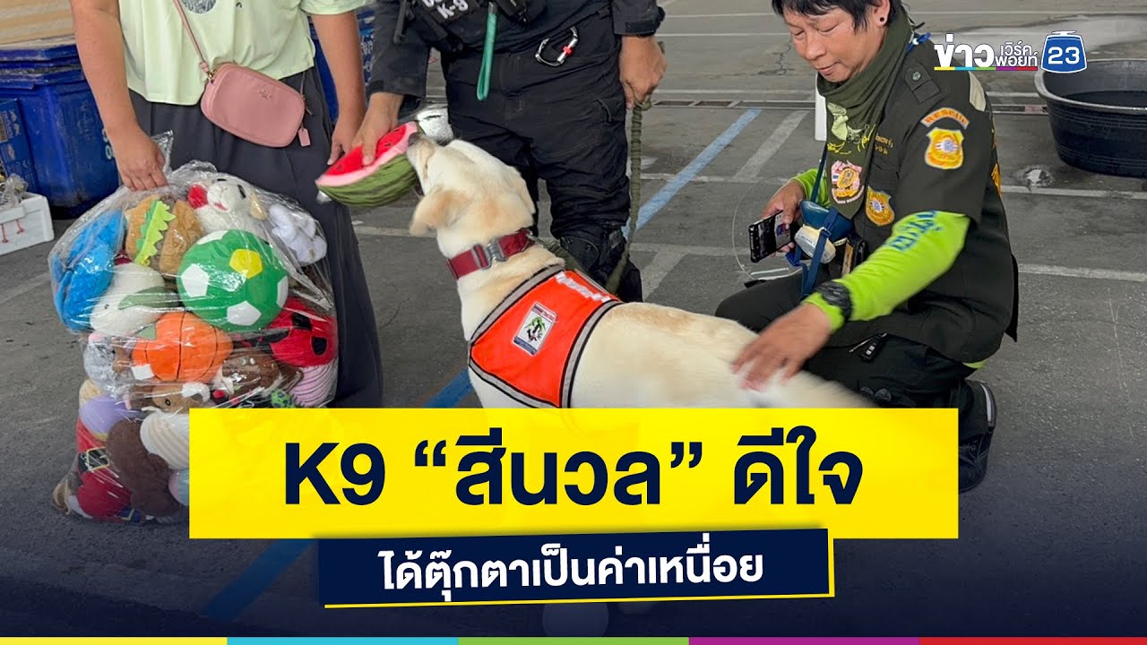 K9 “สีนวล” ดีใจ ได้ตุ๊กตาเป็นค่าเหนื่อย