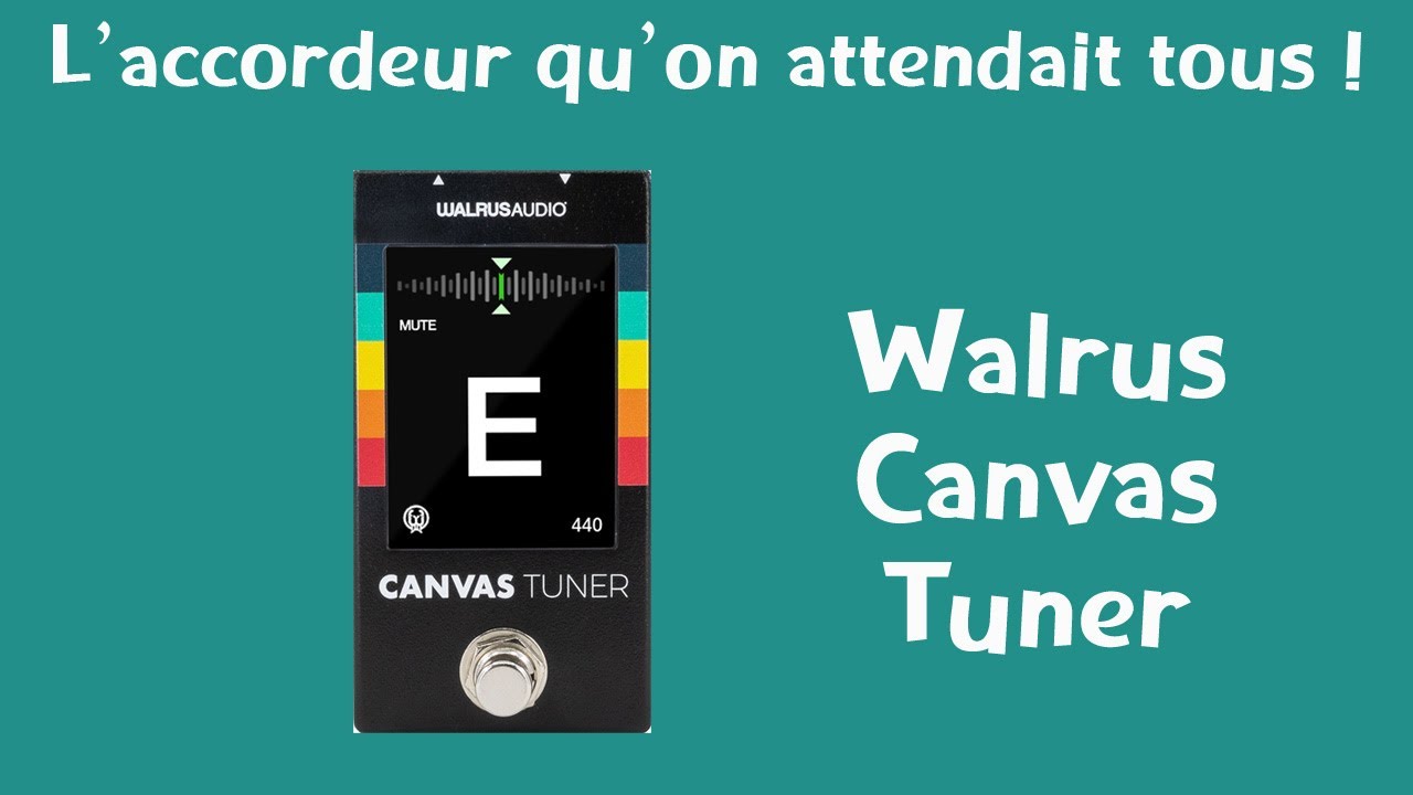 Pourquoi cet accordeur est une révolution - Walrus Canvas Tuner