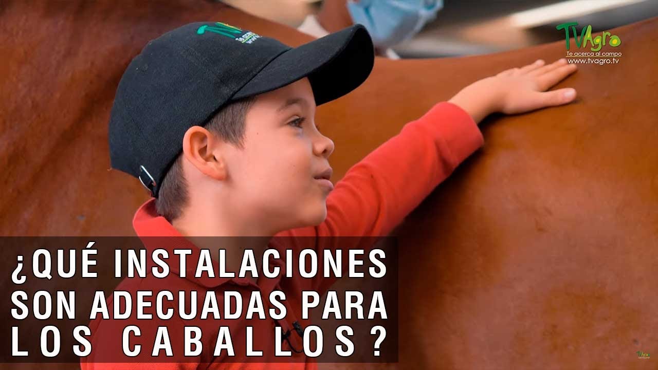Qué instalaciones son adecuadas para los caballos - TvAgro por Juan Gonzalo Angel Restrepo